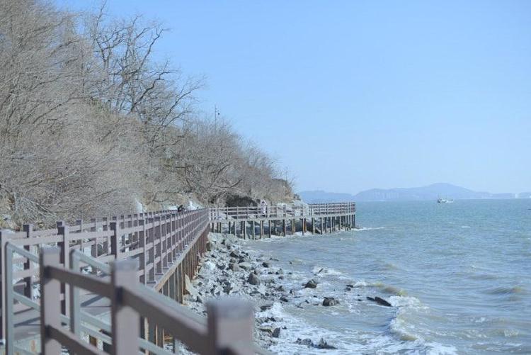 강화도 갈만한곳 애견동반, 서울 근교 이런 곳이? 숨겨진 반려견 천국 대공개!