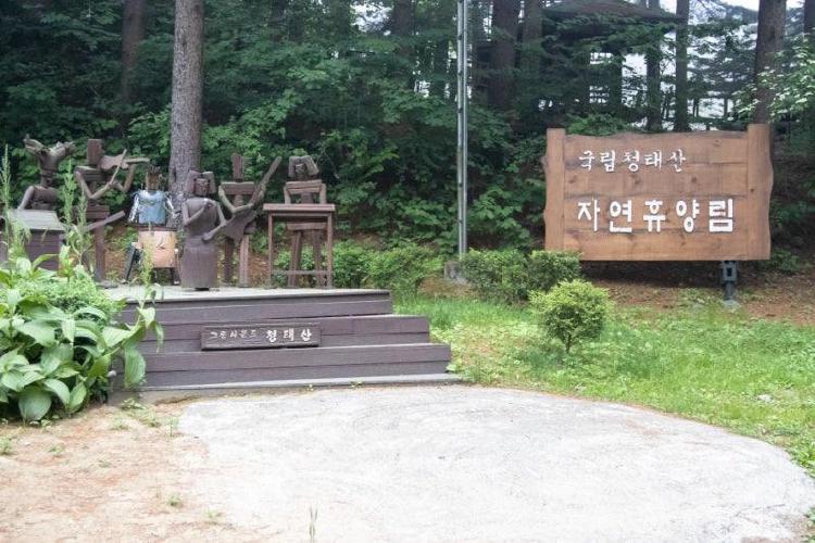 홍천 가볼만한곳 애견동반, 반려견과 떠나는 여행! 이런 곳이 있었다니?