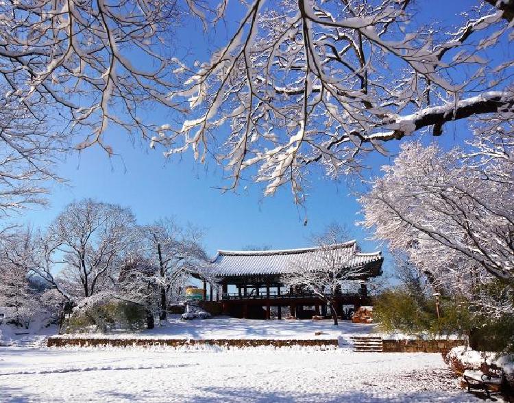 삼척 가볼만한곳 겨울, 눈 내린 바다에서만 느낄 수 있는 감동! 이 풍경 실화인가요?