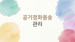 공기정화용숯 관리, 햇볕 3시간만 쬐면 새것 되는 충격 비법