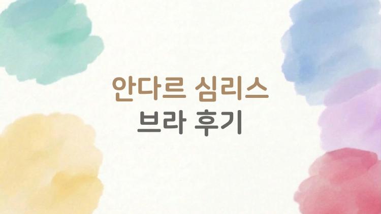 안다르 심리스 브라 후기