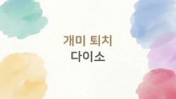 개미 퇴치 다이소 2026 최신, 진짜 효과 본 솔직 리뷰