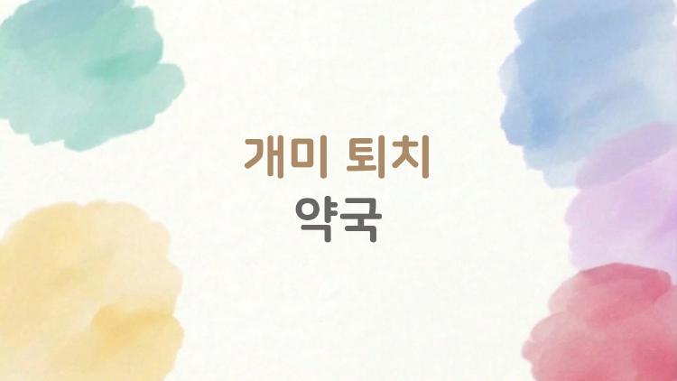 개미 퇴치 약국, 하루만에 집 깨끗해진 비밀 무슨 약?
