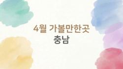 4월 가볼만한곳 충남, 튤립 만발한 비밀 명소 터졌다