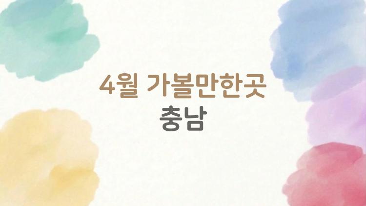 4월 가볼만한곳 충남, 튤립 만발한 비밀 명소 터졌다