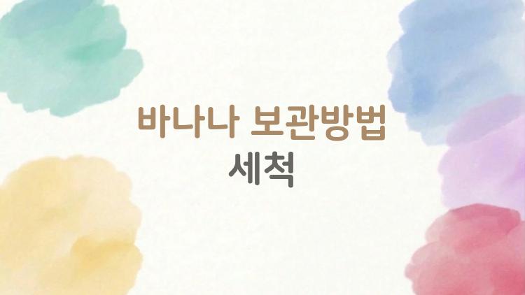 바나나 보관방법 세척, 이것만 알면 한 달도 거뜬하다