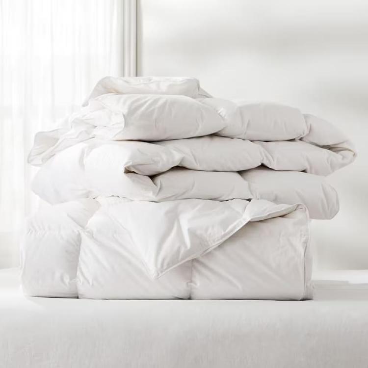 이불 버리는 방법 종량제, 봉투에 넣었다가 과태료 맞은 실수 대공개