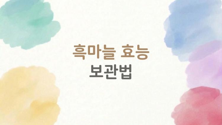 흑마늘 효능보관법