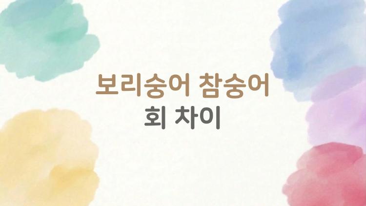 보리숭어 참숭어 회 차이