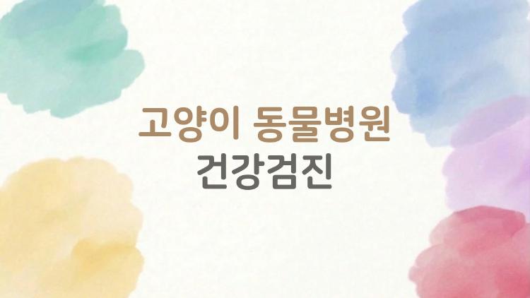 고양이 동물병원 건강검진