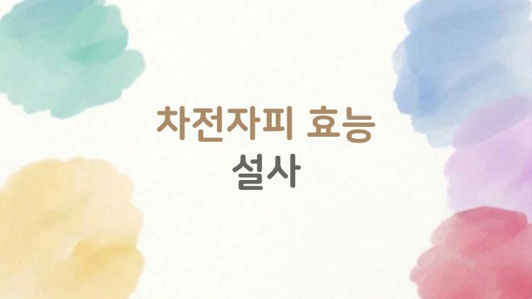 차전자피 효능 설사