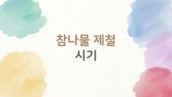 참나물 제철 시기, 2026년 앞당겨진 비밀