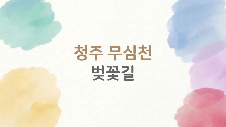 청주 무심천 벚꽃길, 2026 만개 타이밍 놓치면 후회할걸?