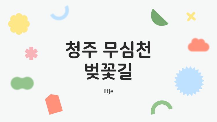 청주 무심천 벚꽃길