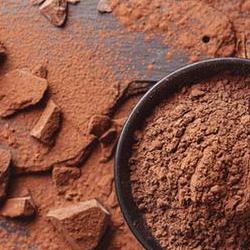 코코아파우더 대체 핫템, 2026년에 이거 모르면 손해예요