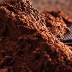 코코아파우더 파는곳, 2026년 가격 반토막 난 지금 사야 할까?