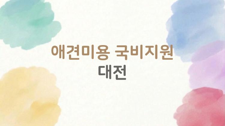 애견미용 국비지원 대전, 진짜 무료로 자격증 딴 후기 폭발