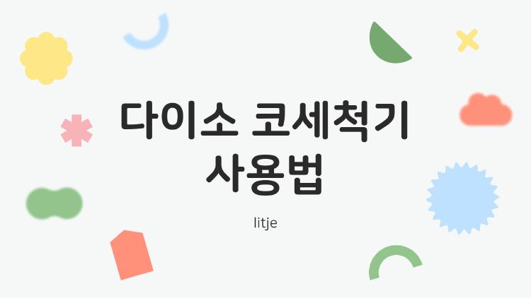다이소 코세척기 사용법, 비염 잡는 2000원 꿀템 충격 후기