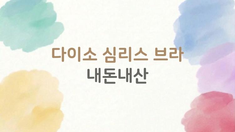 다이소 심리스 브라 내돈내산