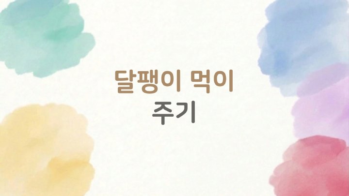 정보산책