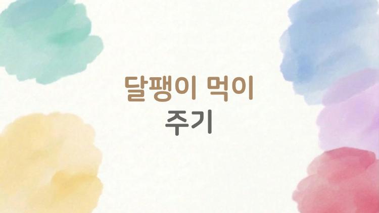 달팽이 먹이 주기, 이게 답이었어? 실수로 끝낸 사람들이 속한 비밀