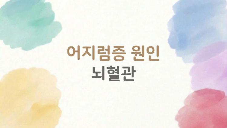 어지럼증 원인 뇌혈관