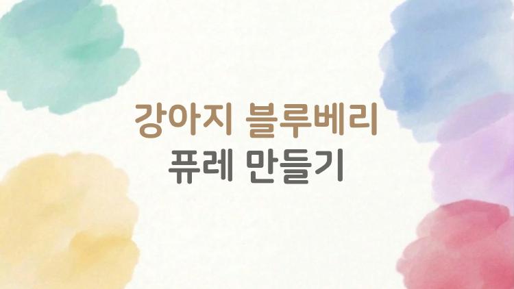 강아지 블루베리 퓨레 만들기, 눈 건강 폭발 비밀 공개