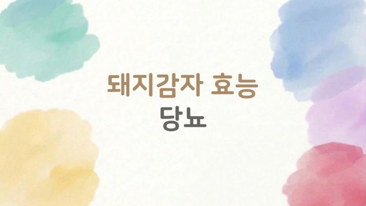 돼지감자 효능 당뇨