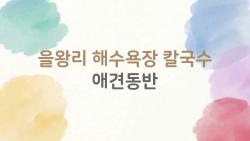 을왕리 해수욕장 칼국수 애견동반, 사람들은 이걸 가장 많이 궁금해한다