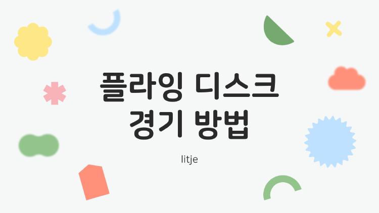 플라잉 디스크 경기 방법