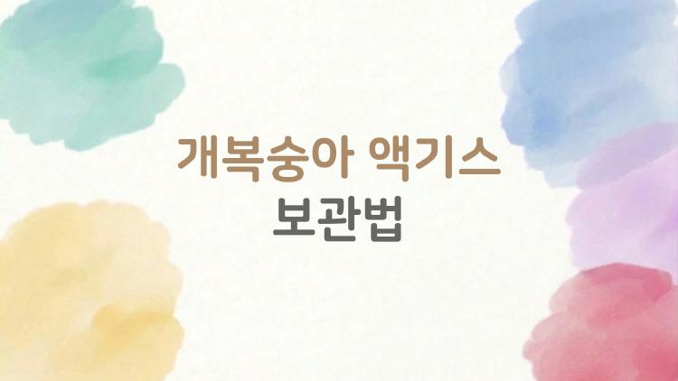 개복숭아 액기스 보관법