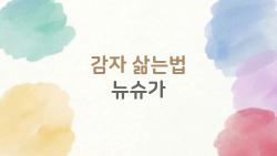 감자 삶는법 뉴슈가, 이렇게 하면 실패 없다는 말이 나올 정도