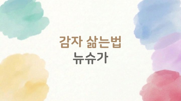 정보산책