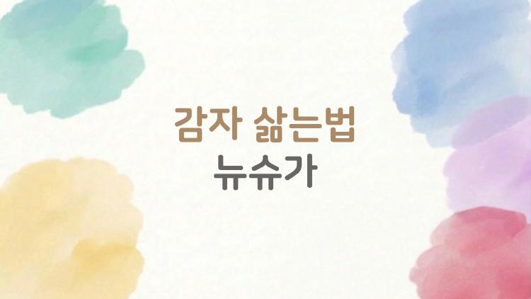 감자 삶는법 뉴슈가