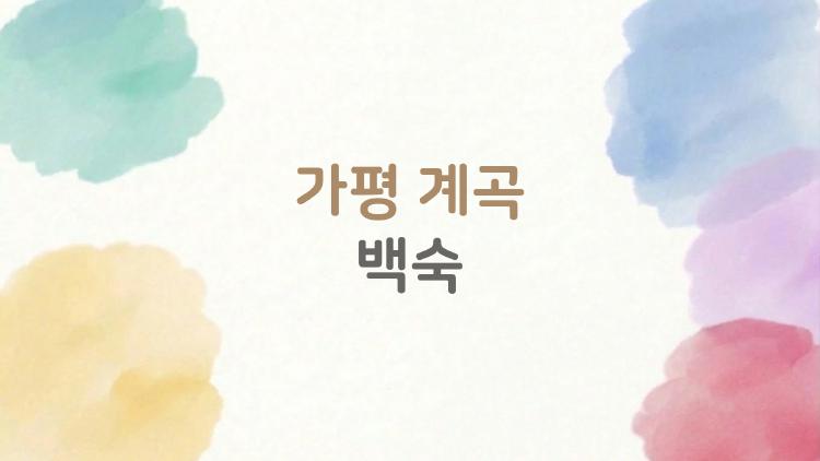 가평 계곡 백숙, 여름에 안 가면 후회 폭발하는 이유