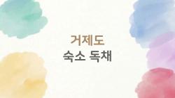 거제도 숙소 독채, 왜 2026년에 이런 숙소들이 뜨고 있을까?