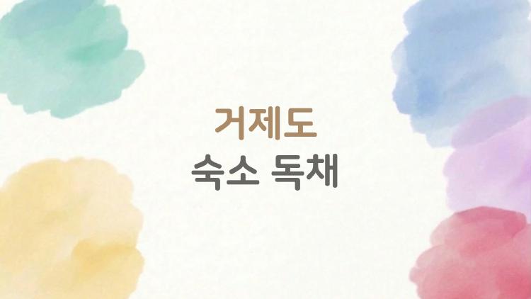 거제도 숙소 독채, 왜 2026년에 이런 숙소들이 뜨고 있을까?