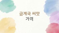금계국 씨앗 가격, 이대로 사도 되는 걸까? 실화 같은 후기와 2026년 가격 비교
