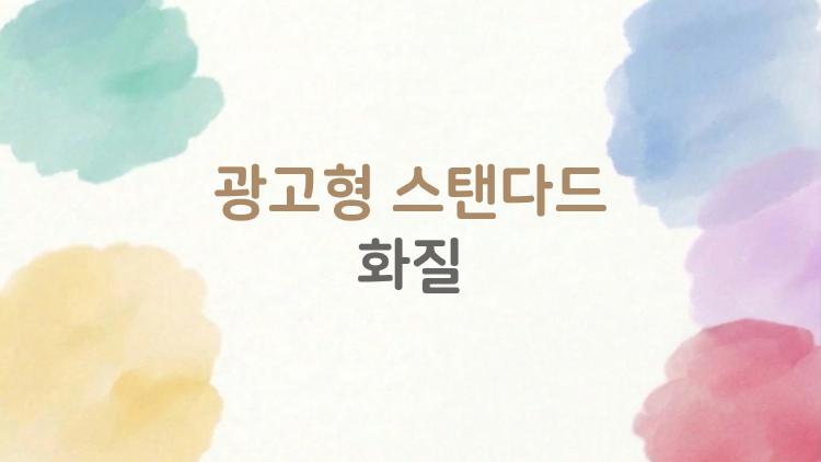 광고형 스탠다드 화질