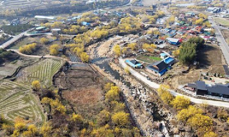 구례 산수유마을 주차, 주말 10시 넘으면 대참사? 살아남는 법