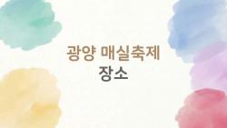 광양 매실축제 장소, 주차 지옥 탈출 비법 공개