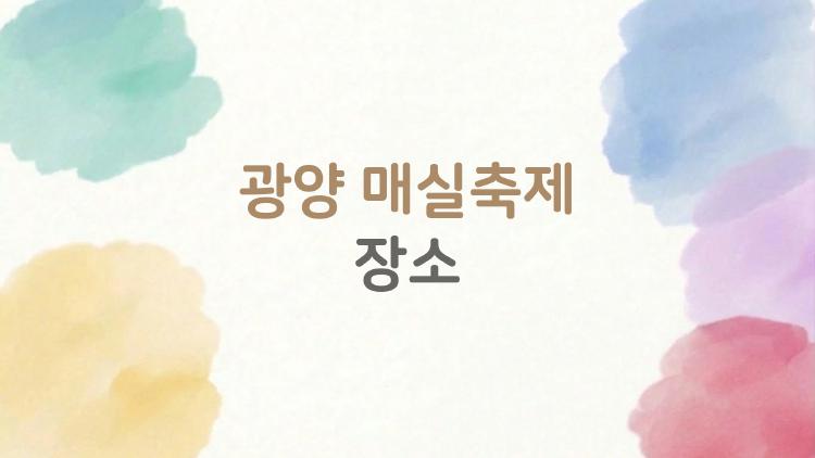 광양 매실축제 장소, 주차 지옥 탈출 비법 공개