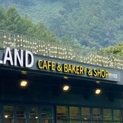 허브아일랜드 카페, 화분쉐이크 먹고 찜질팩 받았더니 중독됨