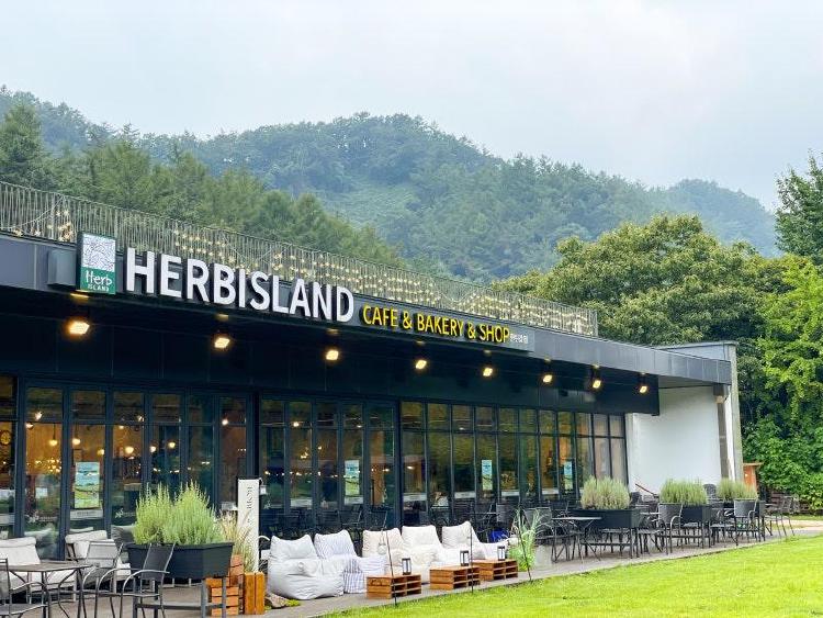 허브아일랜드 카페, 화분쉐이크 먹고 찜질팩 받았더니 중독됨