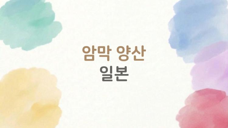 암막 양산 일본 제품, 다들 왜 일본 제품만 고집할까?