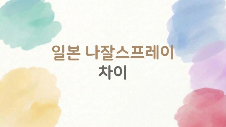 일본 나잘스프레이 차이