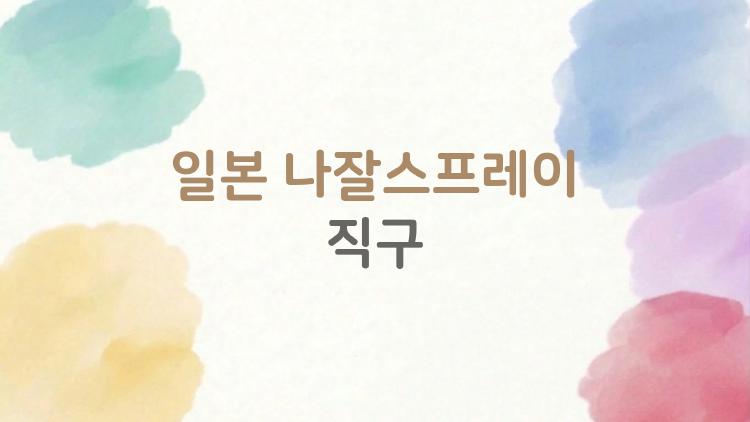 일본 나잘스프레이 직구