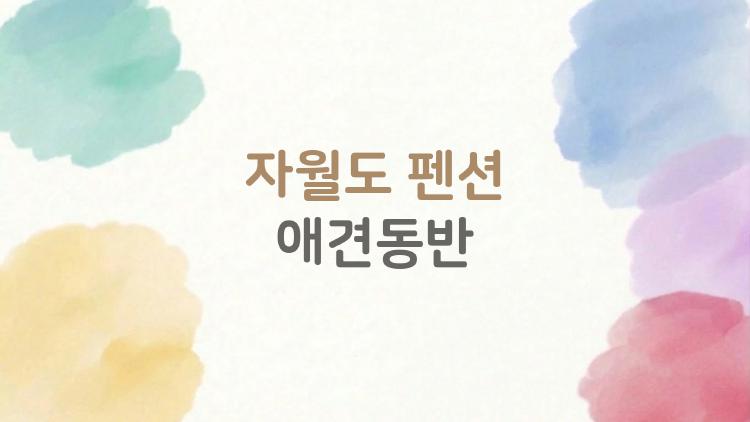 자월도 펜션 애견동반