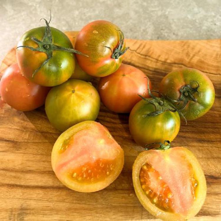 짭짤이토마토 재배, 집에서 실패 없이 딱! 베란다 수확 비법