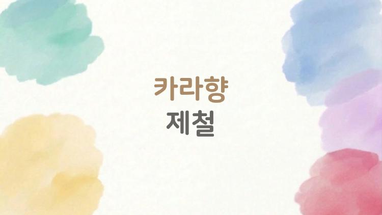 카라향 제철, 왜 지금 다들 미쳐가는 거예요?